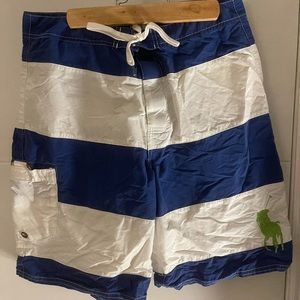 Polo Ralph Lauren Blue/White bathing suit (30)